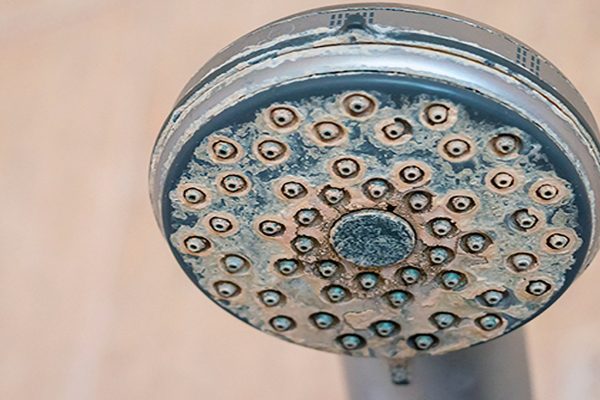 Limescale on showerhead