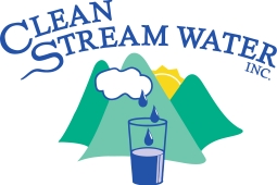 Large Logo