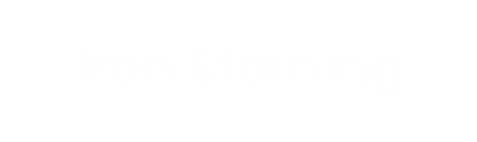 Iron Stain text